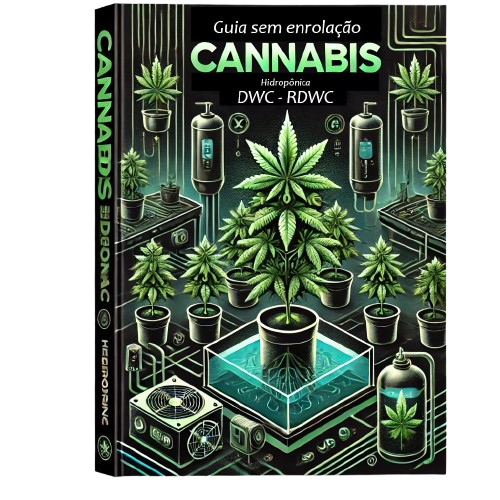 capa removebg preview capa removebg preview